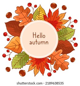 a round frame made of bright autumn leaves, berries and chestnuts. Color vector illustration
