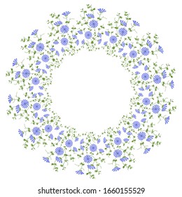 Rundrahmen aus Zichorienblumen. Zirkuläre Blütendekoration.