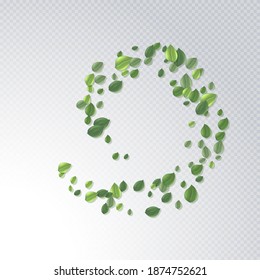 Round frame made of flying green tea leaf isolated on white. Leaves spring background. The Premium green tea for good health. Foliage nature plant for design, advertising, packaging products. Vector
