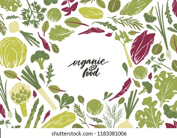 Round frame made of green vegetables, salad leaves and spice herbs on white background. Creative backdrop with circular border consisted of vegan organic food. Colorful flat vector illustration.