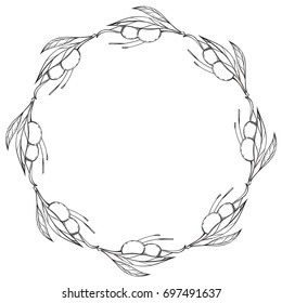 Round frame made of olive branches with leaves and fruits. Olive wreath. Outline vector illustration isolated on white background for design of packaging, labels and other items.