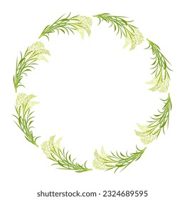 Round frame made of rice ears. Border of plant twigs and leaves for design. Basmati wreath.