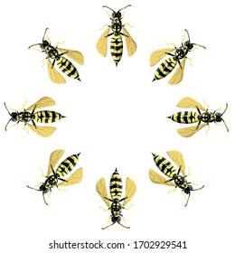 Round frame made of wasp isolated on white. Vector illustration in realistic style. Design for greeting cards, invitation, honey products advertisement, copy space, apitherapy alternative medicine