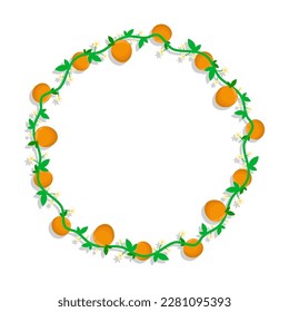 Round frame with mandarin fruit and blossoming orange branches. Weave border isolated on white background. Vector decorative element