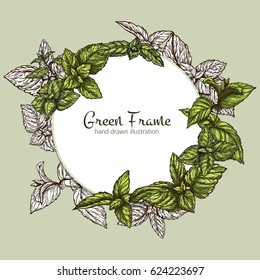 Round frame with mint leaves, vector illustration, hand drawn sketch