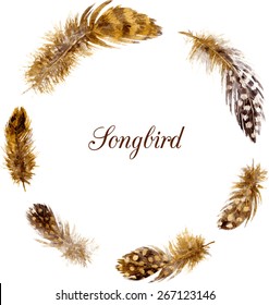round frame with mottled brown plumes, watercolor drawing feathers at white background, hand drawn vector template
