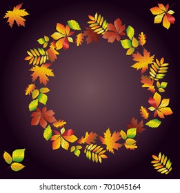 Round frame of multi-colored autumn leaves on a dark background. Chestnut, maple, oak, birch. Postcard, background