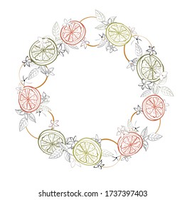 Round frame of multicolored contour citrus fruits oranges, lemons, limes, grapefruits on white background. Copy space. Hand drawn. Vector stock illustration.