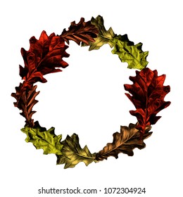 round frame of oak leaves, vector sketch graphics colored drawing