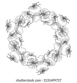 Round frame with onion. Hand drawn black and white vector illustration.
