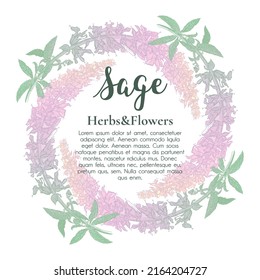 A round frame of painted colored sage plants, a template for postcards, invitations, congratulations. Vector illustration
