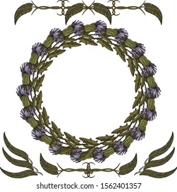 Round frame with plant and flower elements for decoration, for your design.
