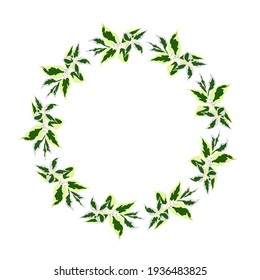Round frame of plants and flowers, vector illustration. A wreath of green leaves isolated on a white background. Romantic, botanical frame.