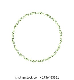 Round frame of plants. A wreath of green leaves isolated on a white background. Vector illustration.