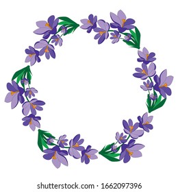 Marco redondo con bonitas flores crocus. Círculo floral festivo para su diseño de temporada. Flores violetas.Ilustración vectorial.