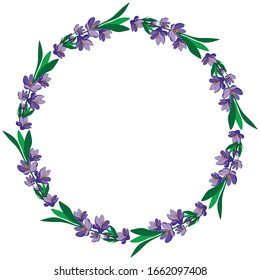 Round frame with pretty flowers crocus. Festive floral circle for your season design. Violet flowers.Vector Illustration.