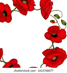 Round frame of red poppies with buds on a white background. Realistic style. Spring pattern. Rustic decor. Template for a card with flowers.