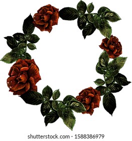 round frame of roses, sketch vector graphics color illustration on white background