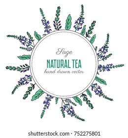 Round frame, Sage flower, bud, leaves set vector isolated on white background, Hand drawn healing herbs, colorful illustration salvia officinalis, design plant for cosmetic, package tea, medicine