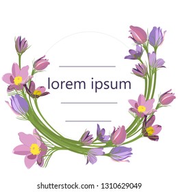 round frame of spring lilac and purple primroses on white background and space for text