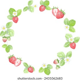 Round frame of strawberries painted by watercolor