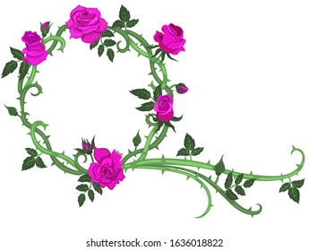 Round frame of thorns and purple roses isolated on a white background. Vector graphics.