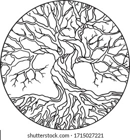 Elemento de contorno de árbol de marco redondo aislado