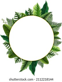 Round frame with tropical green leaves illustration
