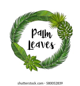 Round frame of tropical palm leaves with place for text, sketch vector illustration isolated on white background. Hand drawn realistic tropical palm leaves as round frame, banner, label design