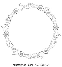 Round frame with various hand drawn outline squashes. Autumn wreath with black and white contour vegetables for your design