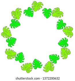 Round frame of vertical bright green monstera on white background. Isolated frame for your design.