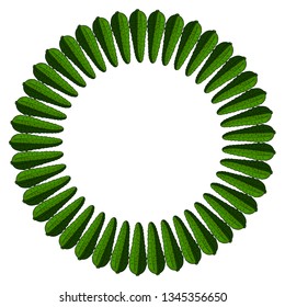 Round frame with vertical cucumber. Isolated wreath on white background for your design
