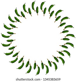 Round frame with vertical green cucumber. Isolated wreath on white background for your design