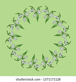 Round frame with vertical lovely snowdrops on light green background. Isolated vector flowers pattern for your design.
