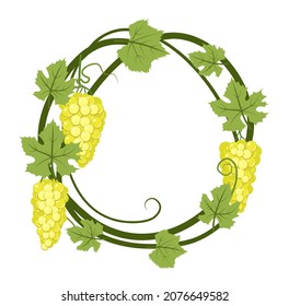 Round Frame. Vine with foliage and bunches of grapes. Viticulture and farming. Branches with berries on a dense bush. Young vineyard. Sweet autumn harvest. Isolated on white background. Vector