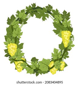 Marco redondeado. Vino con follaje y racimos de uvas. Viticultura y agricultura. Ramas con bayas en un arbusto denso. Viña joven. Dulce cosecha de otoño. Aislado sobre fondo blanco. Vector
