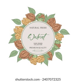 Round frame with Walnut. Hand drawn Walnut tree branch with nuts and leaves. Vector illustration in sketch style.