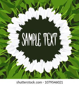 Round frame of white tulips painted by hand on black background. for your design. 10 eps
