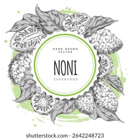 Round frame with whole and half noni fruit parts in black and white hand drawn sketch. Tropical superfood. Organic plant. For labels and stickers. Vector engraved illustration. Space for text.