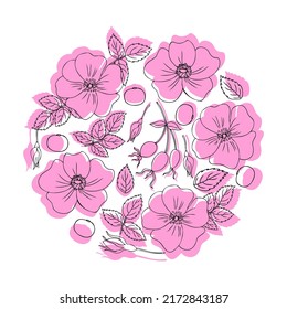 Round frame Wild rose, briar hand drawn dogrose berry vector illustration isolated on white background, decorative rosehip bouquet, holiday wreath for design cosmetic, natural medicine, herbal tea