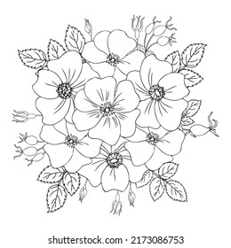 Round frame Wild rose, briar hand drawn dogrose berry vector illustration isolated on white background, decorative rosehip bouquet outline, holiday wreath line art for design cosmetic, herbal tea