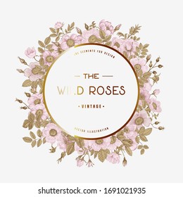 Round frame with wild roses. Vector vintage floral illustration. 
