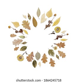 round frame or wreath made of realistic autumn leaves. Autumn leaf fall.