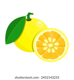 Runde Fresh Yuzu Frucht im Vektorgrafik Design