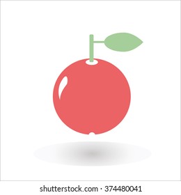 round fruit Apple vector illustration