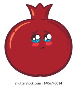 It is round fruit having many seeds with juicy red pulp and had a hard skin., vector, color drawing or illustration. 