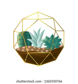 Round geometric terrarium with green succulent cactus plant