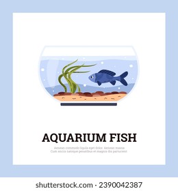 Round glass home fishbowl, aquarium with blue fish and seaweed. Green algae and little stones on sand. Cartoon Aquarium fish poster. Aquarium marine, aquatic pet vector illustration