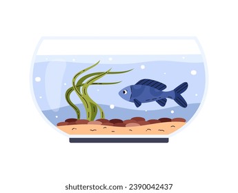 Round glass home fishbowl, aquarium with blue fish and seaweed. Cartoon aquarium marine, aquatic pet vector illustration. Green algae and little stones on sand.