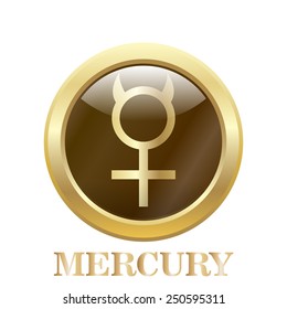 Round  glossy round button. Mercury. Vector illustration.  